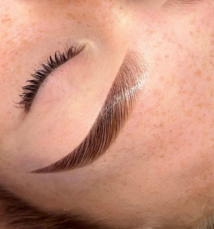 BROW LAMINATION Training